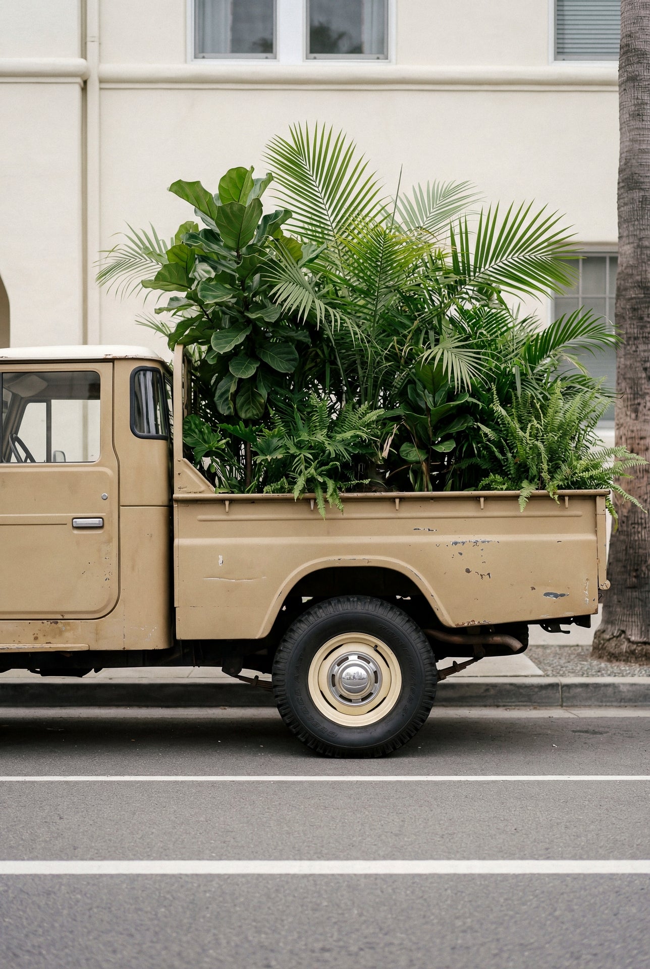 Forest Delivery