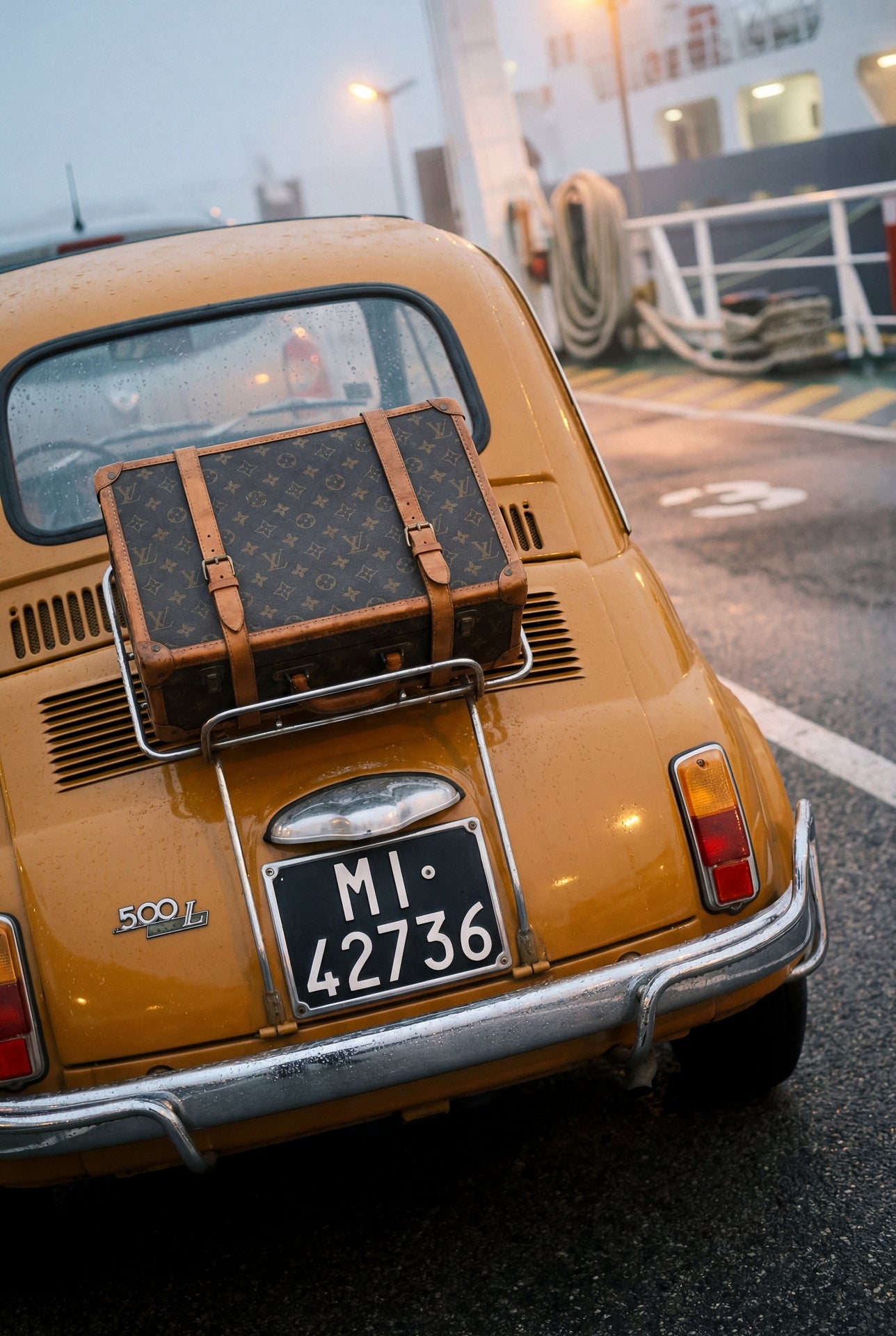 A Trunk on the Trunk
