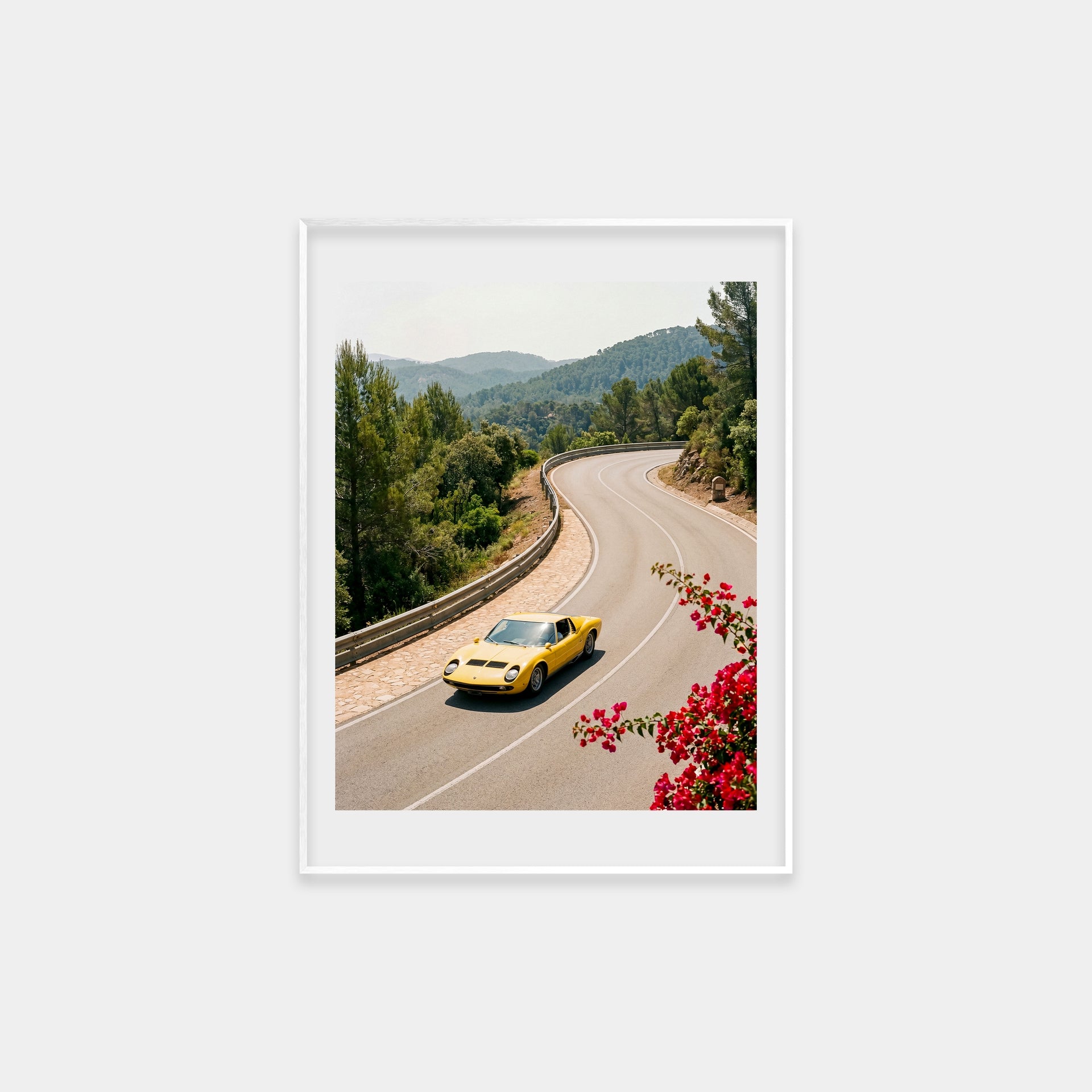 Miura in the Spring