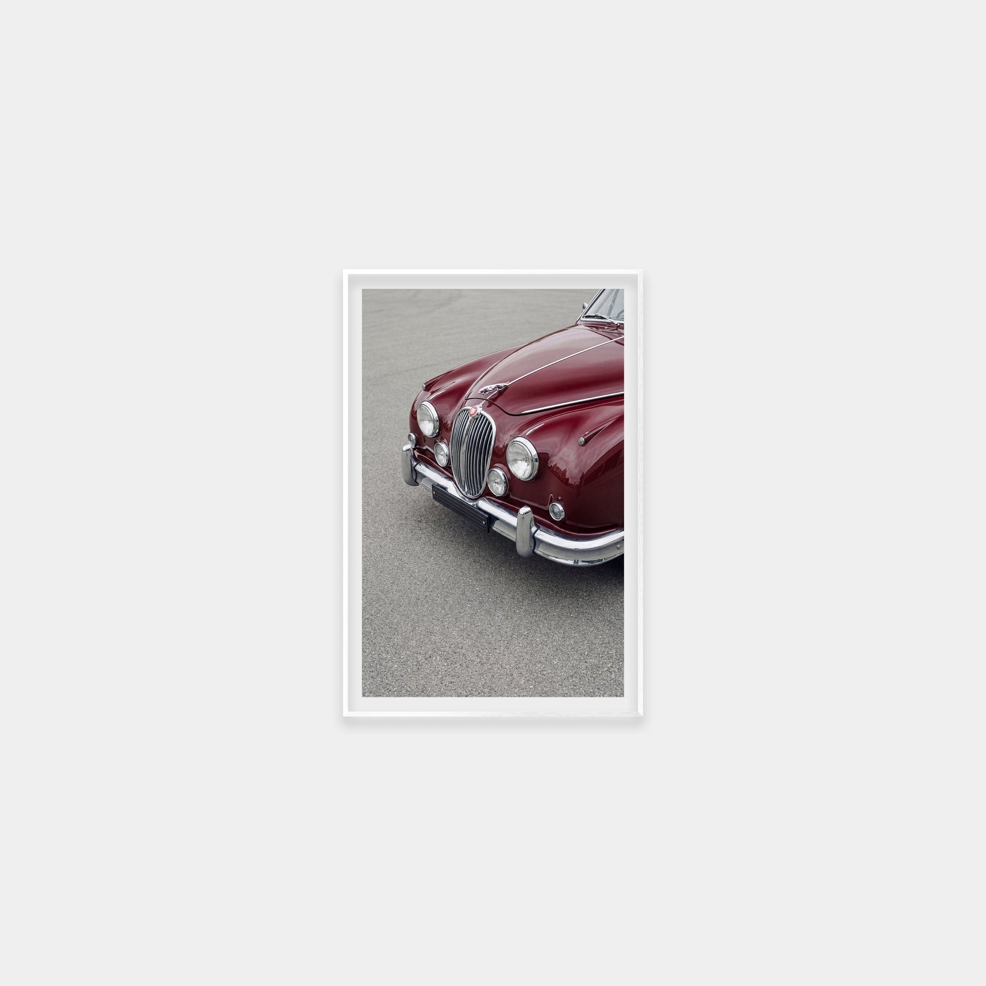 Burgundy Jag