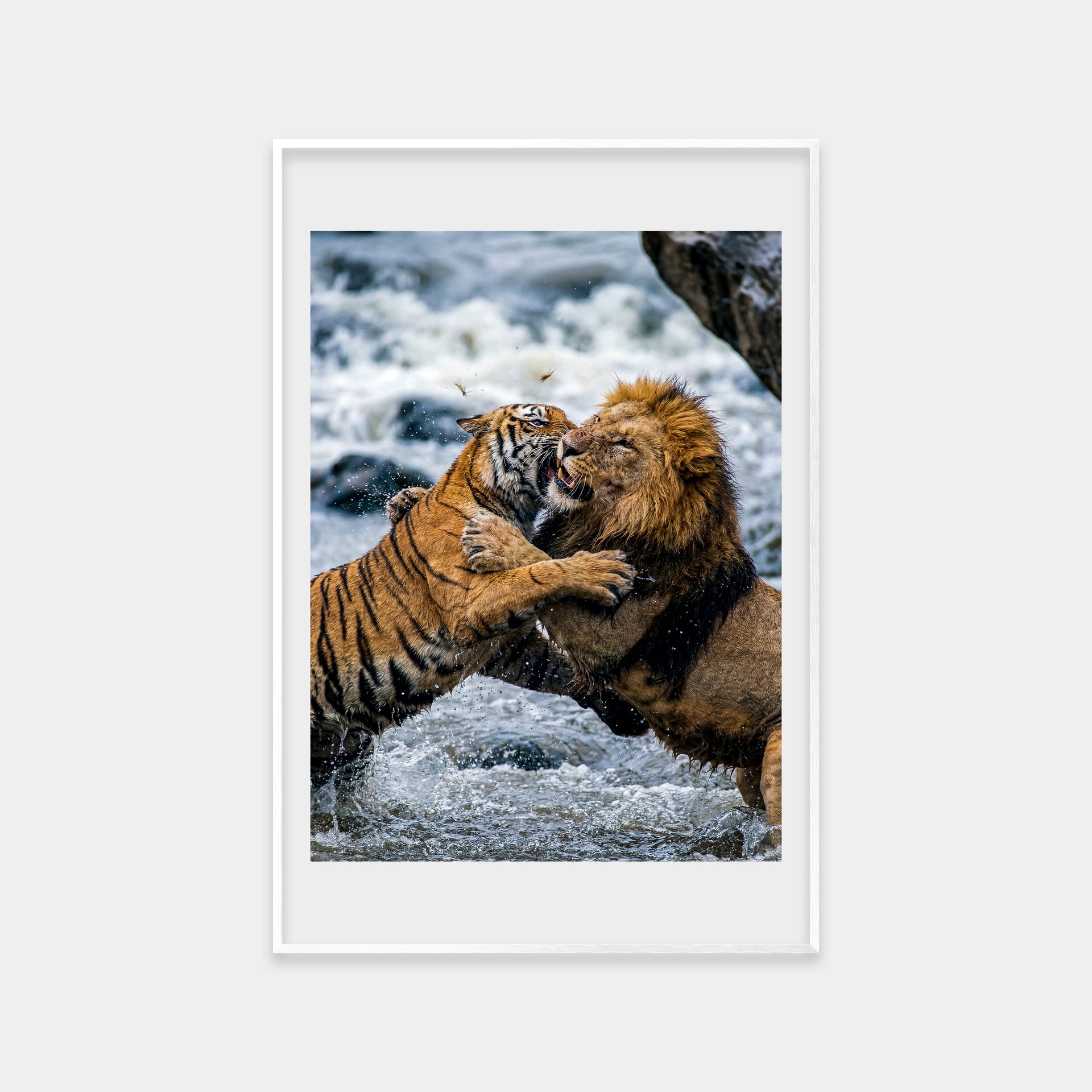 Clash of the Titans (Color)