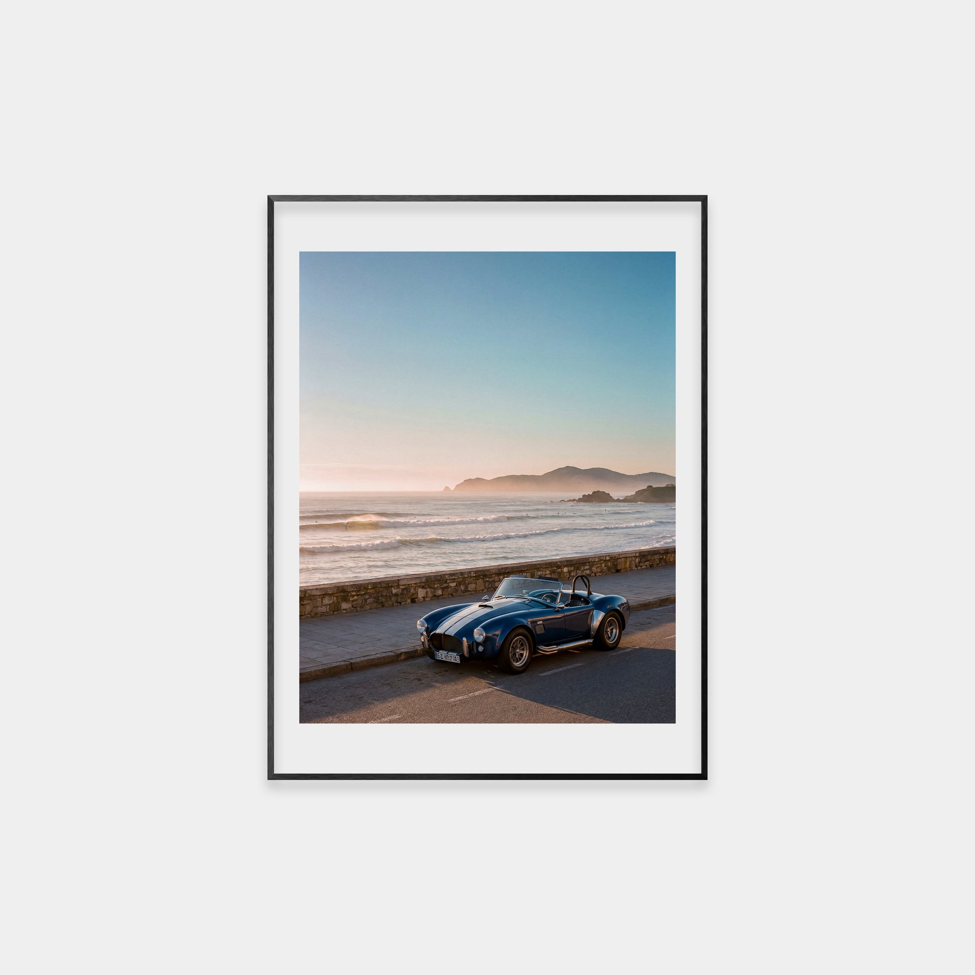 Shelby by the Ocean