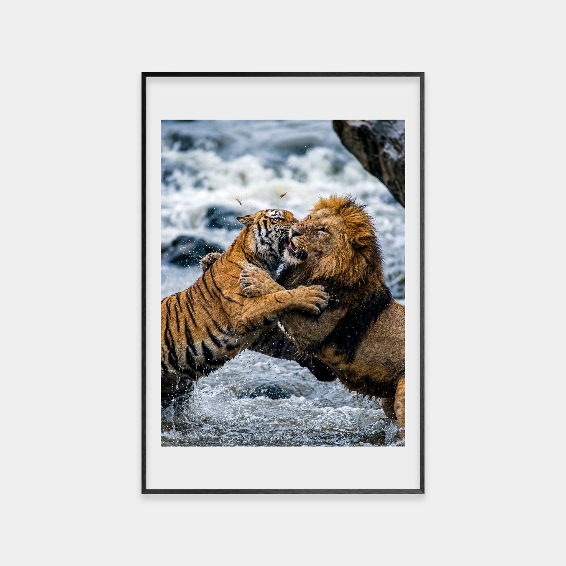 Clash of the Titans (Color)