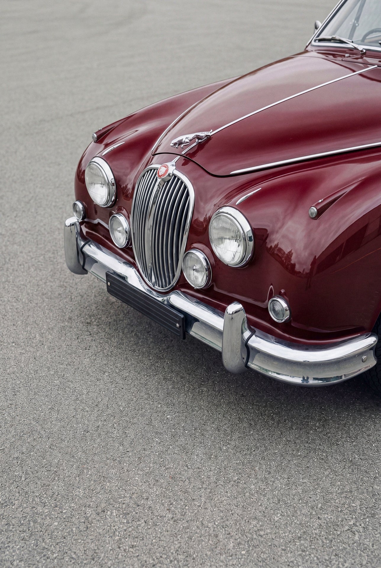 Burgundy Jag