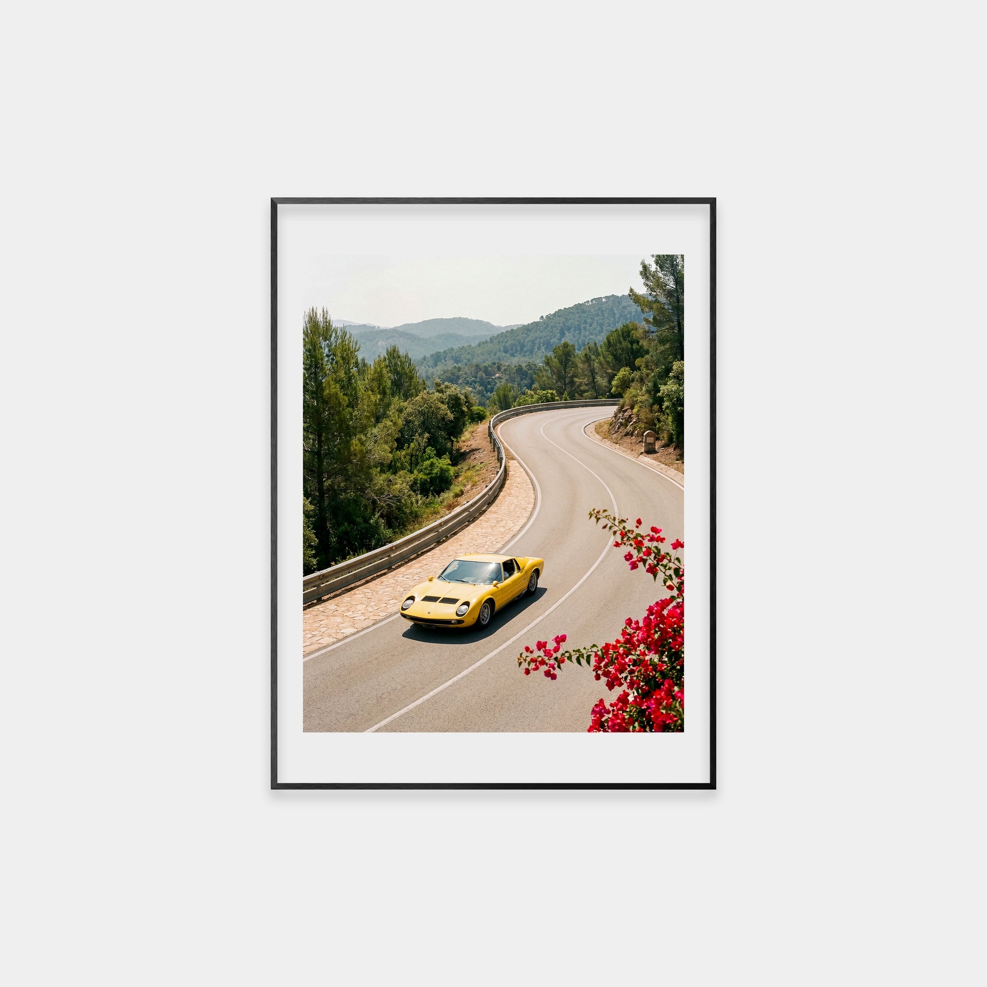 Miura in the Spring