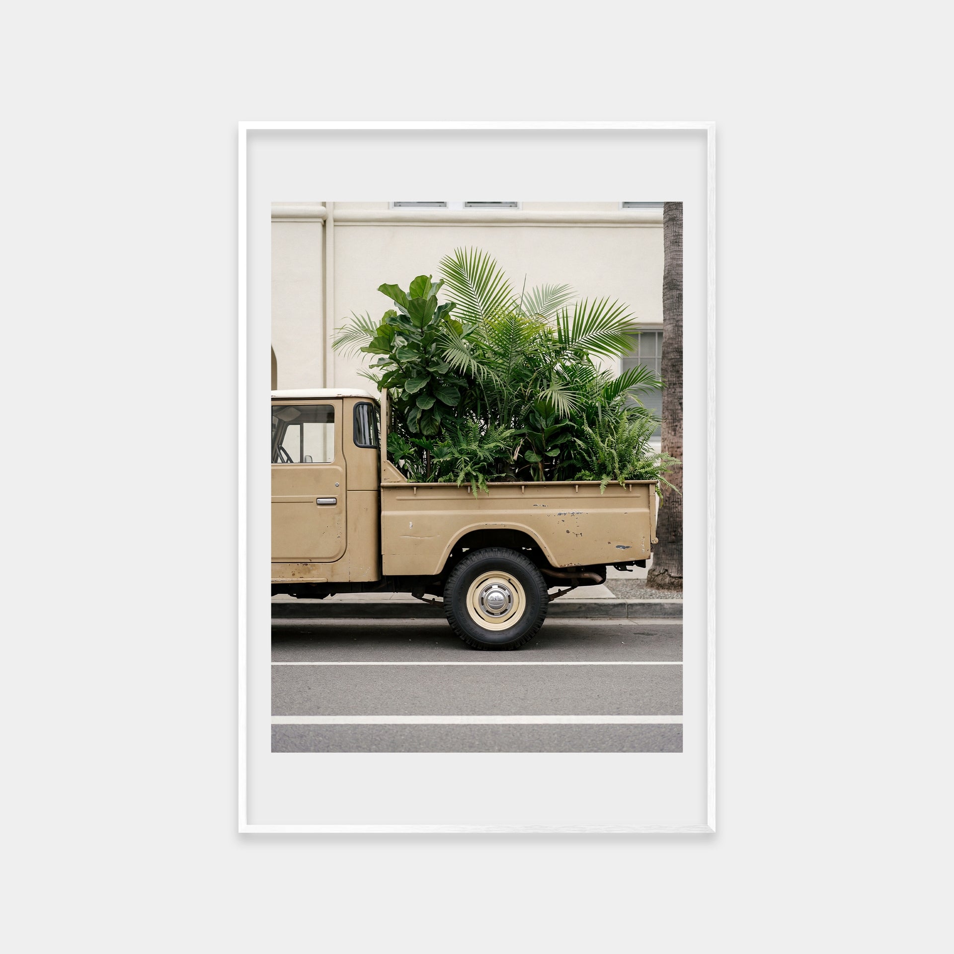 Forest Delivery