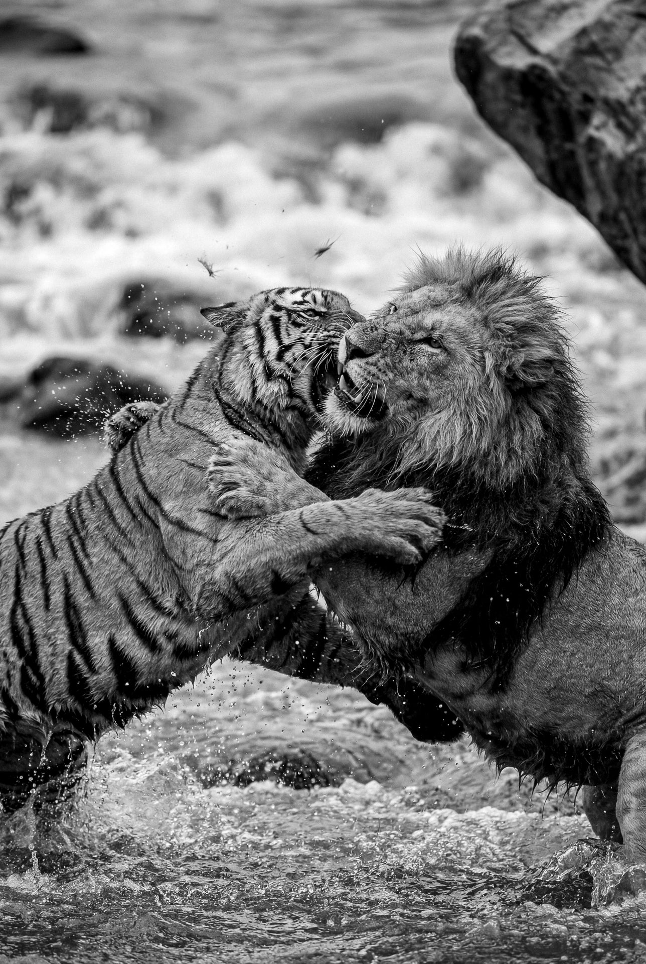 Clash of the Titans