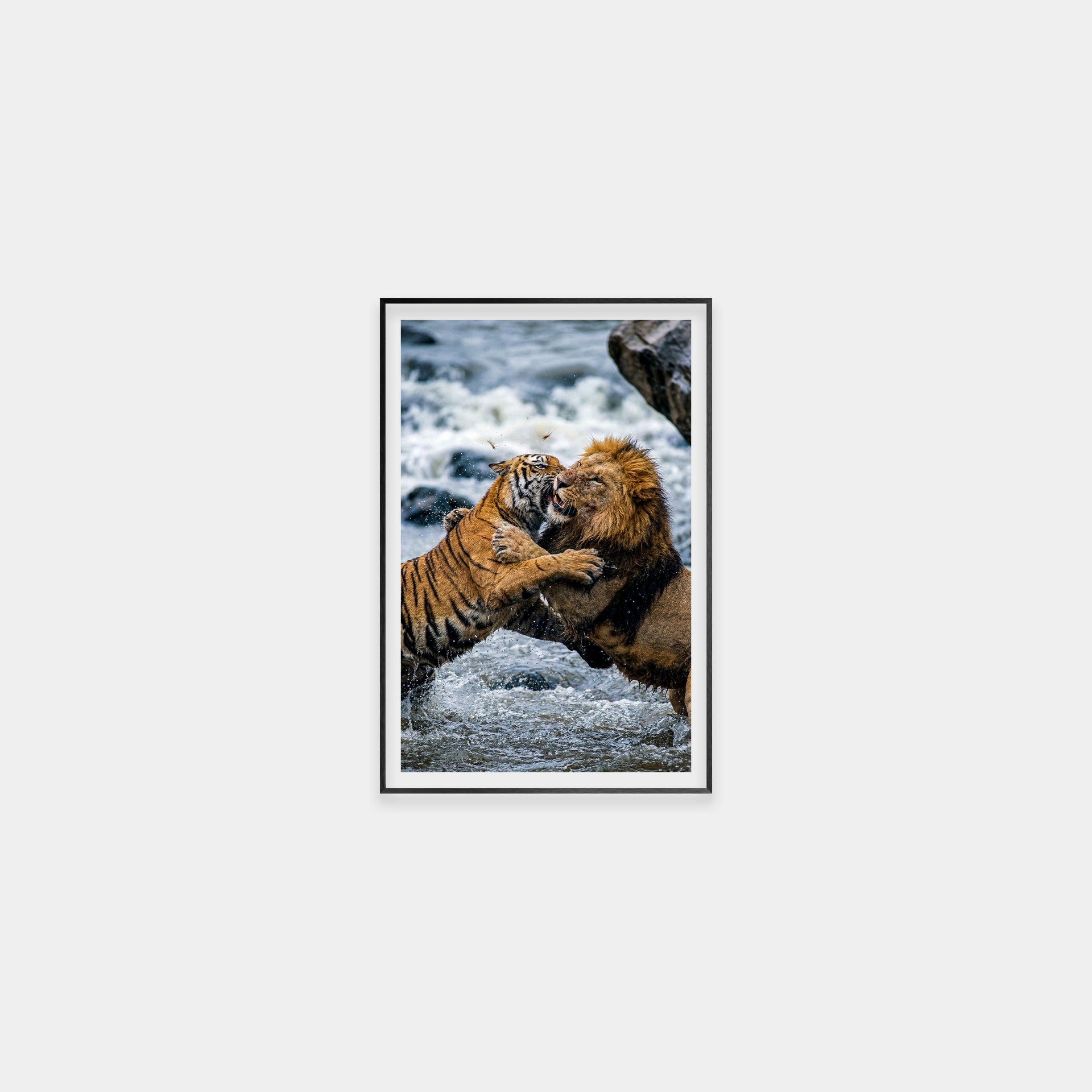 Clash of the Titans (Color)