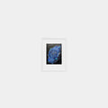Perpetually Blue