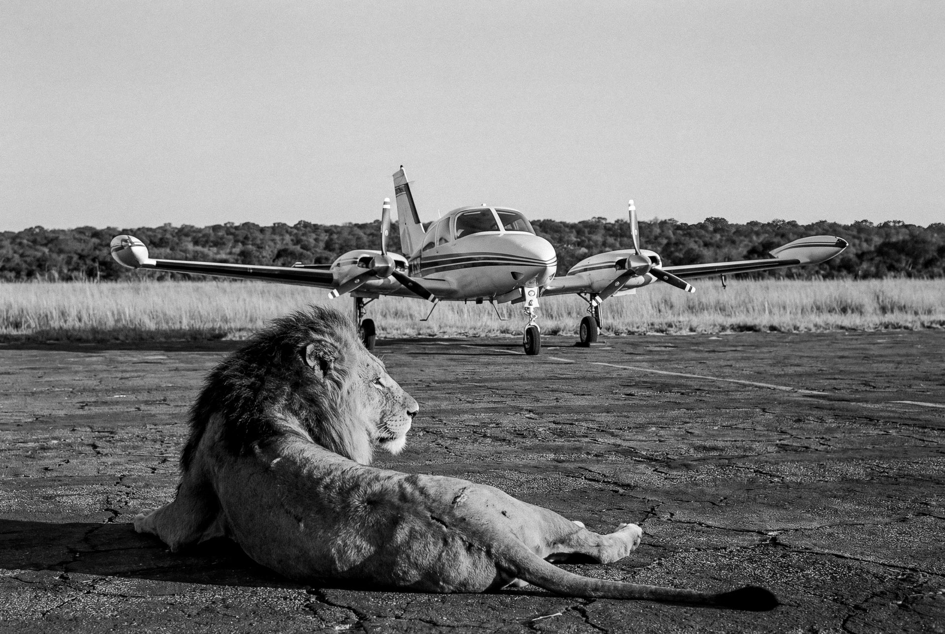 Flying Private