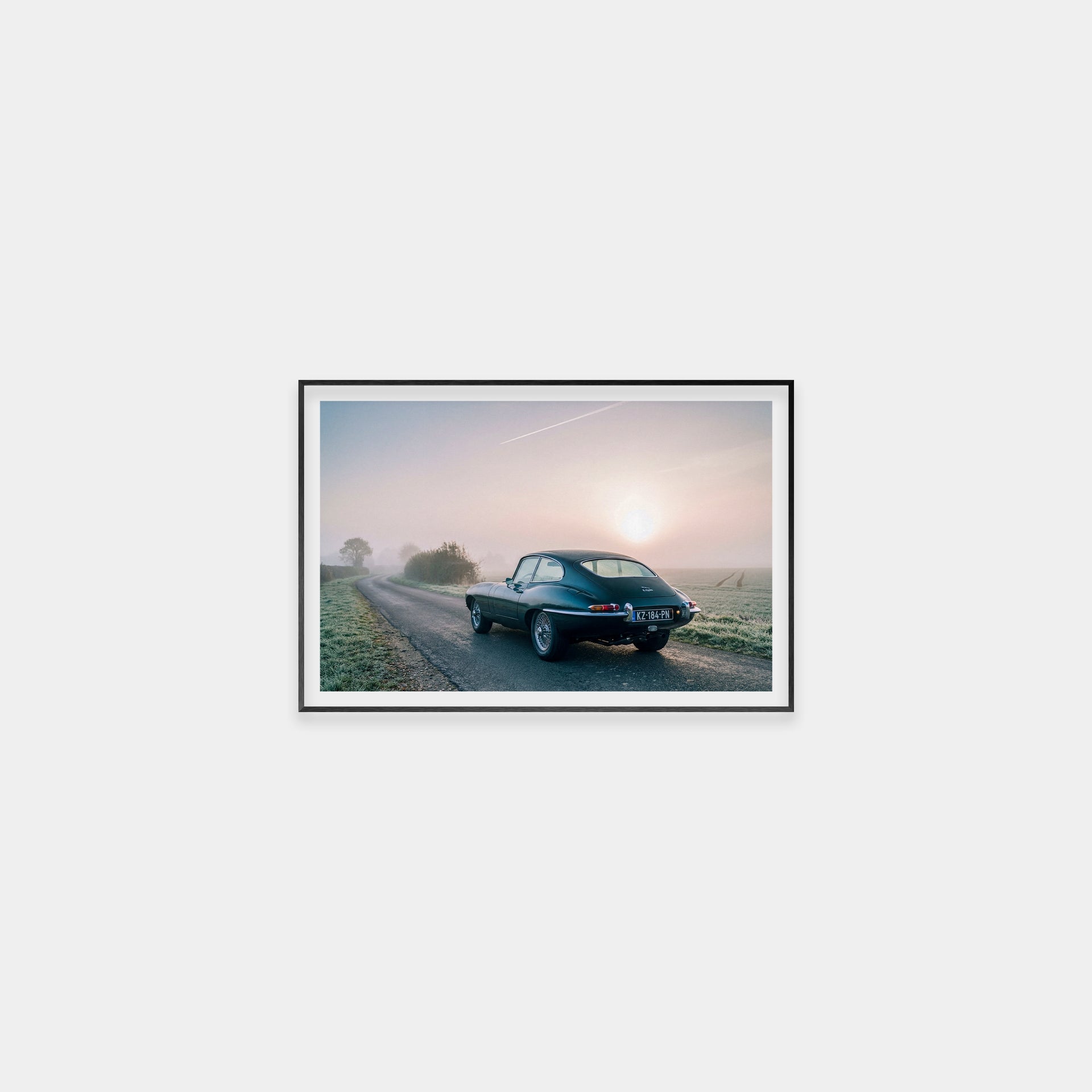 A Wild Jaguar